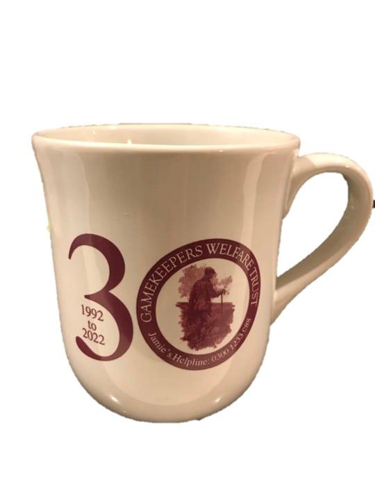 GWT 30th Anniversary Mug