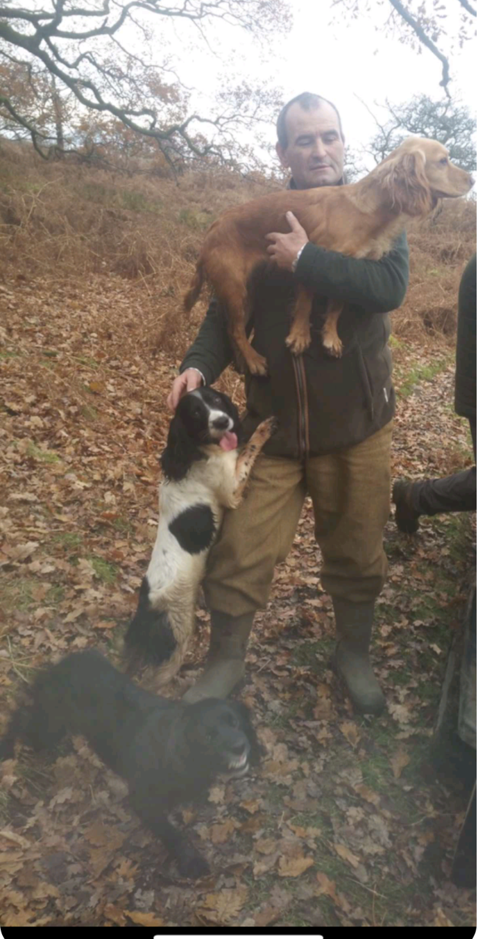 Screenshot 20250117 184535